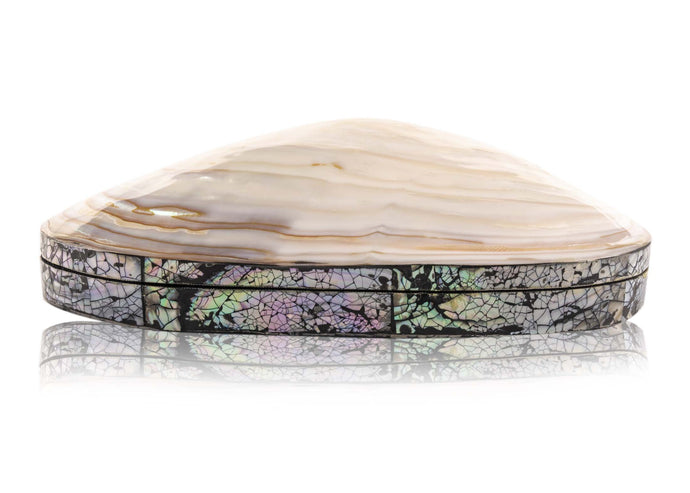SHELL CLUTCH